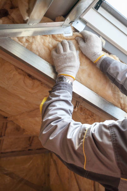 Best Attic Insulation Installation  in Poynette, WI