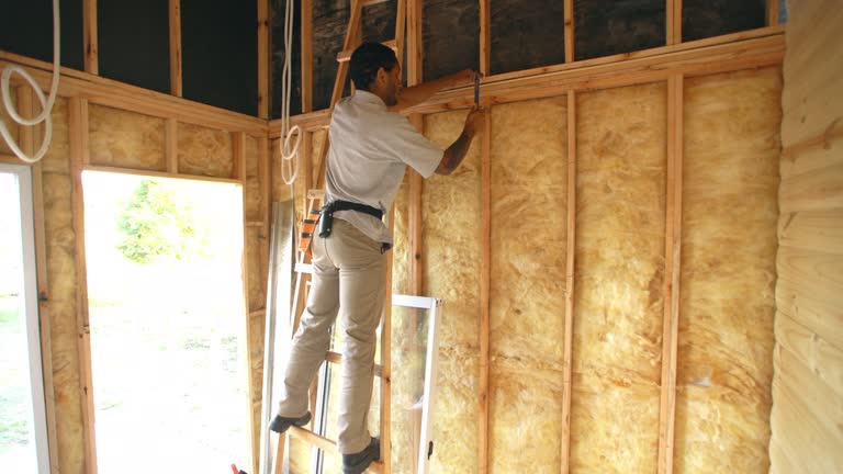 Best Radiant Barrier Insulation  in Poynette, WI