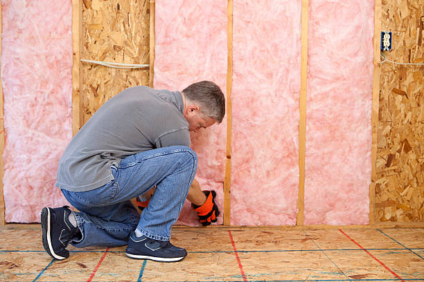 Best Basement Insulation  in Poynette, WI